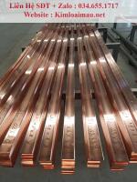 Đồng thanh cái 30x3