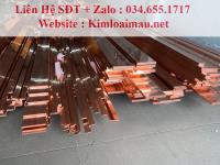 Đồng thanh cái 40x3mm