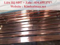 Đồng thanh cái 40x8mm