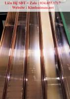 Đồng thanh đỏ 100x6