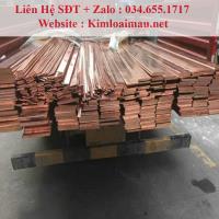 Đồng thanh đỏ 100x12