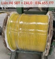 Cáp tiếp địa vàng xanh M95