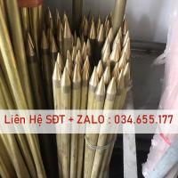 Kim thu sét bằng đồng thau Phi 16