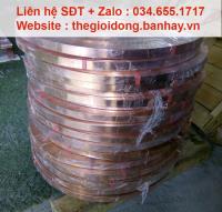 băng đồng tiếp địa